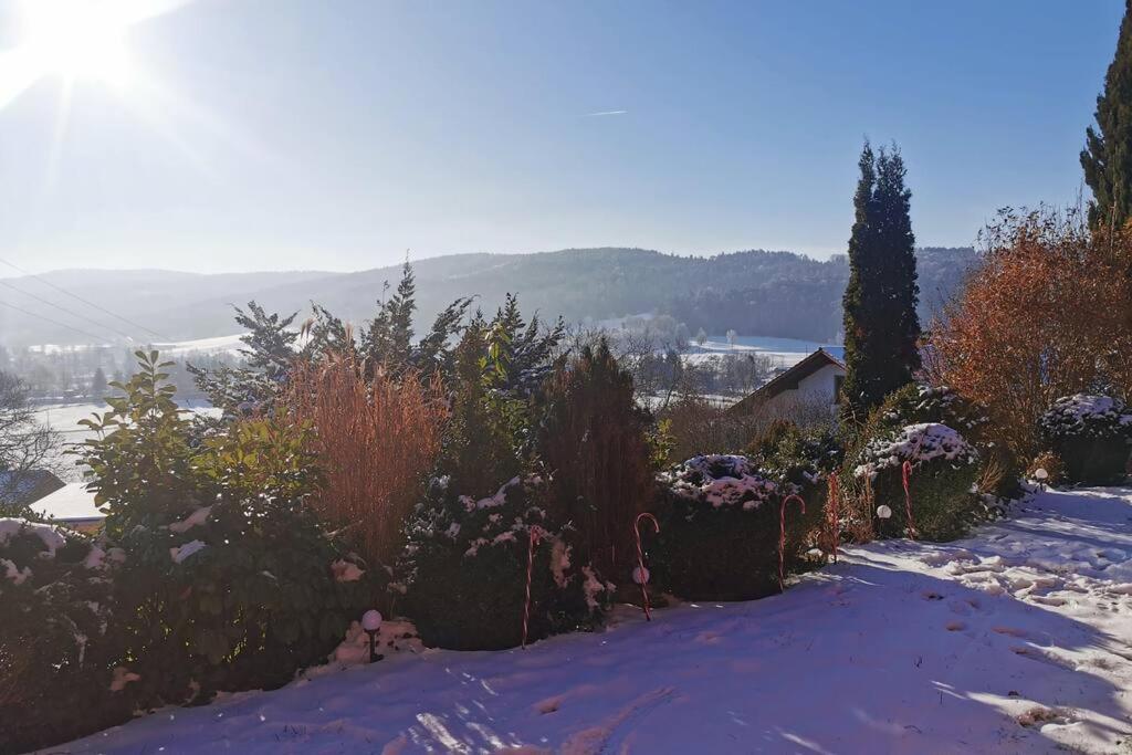Chalet Bambi Blaibach ภายนอก รูปภาพ